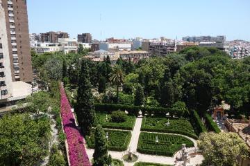 P01377 VALENCIA